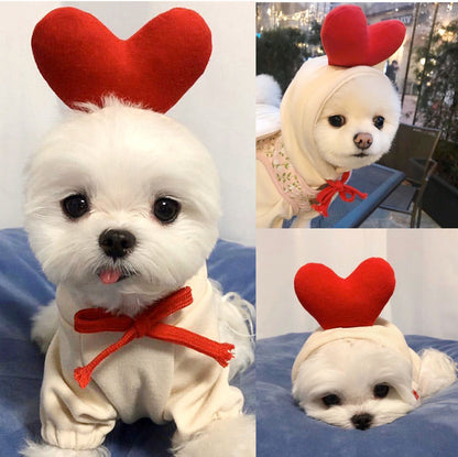 Fruit Print Dog Hoodie