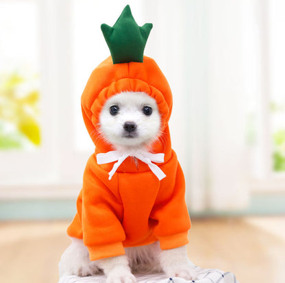 Fruit Print Dog Hoodie