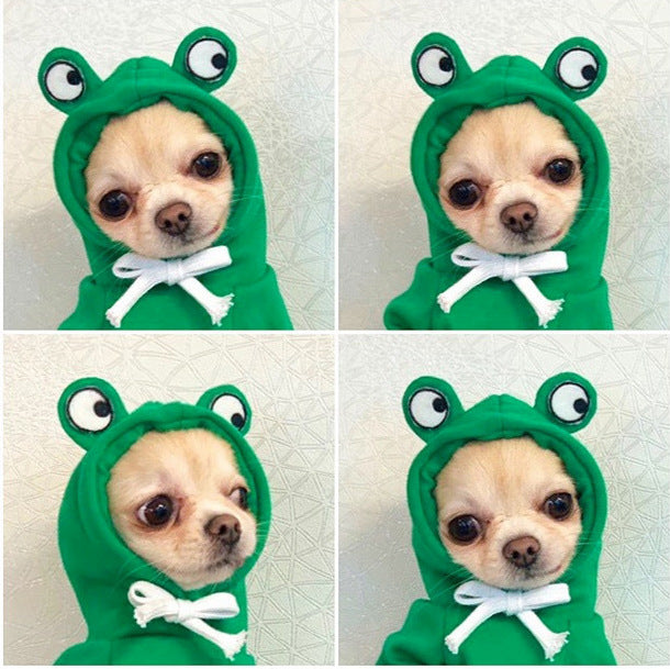 Fruit Print Dog Hoodie