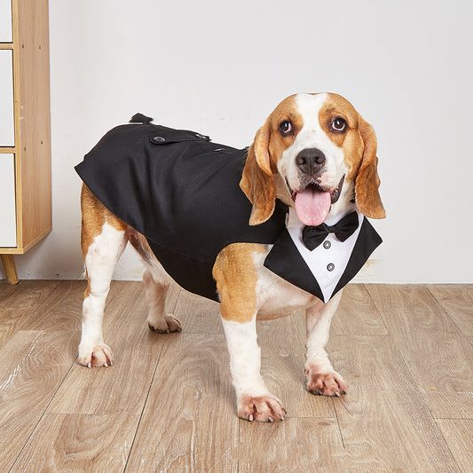 Dog Wedding Suit Jacket