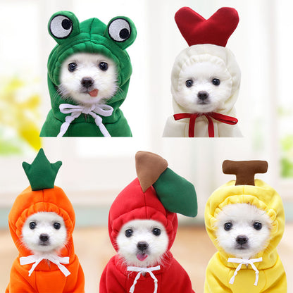 Fruit Print Dog Hoodie