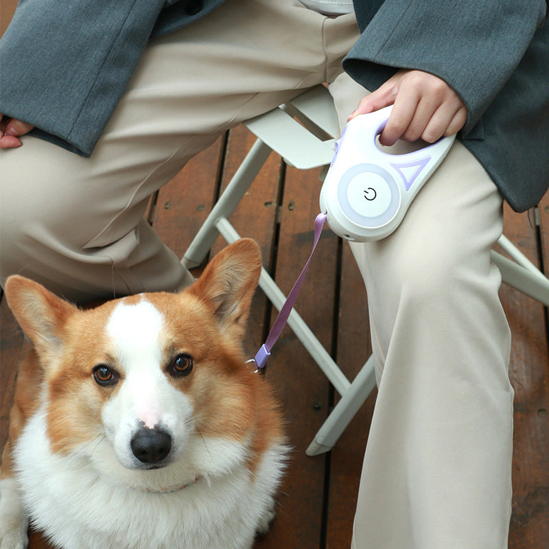 Rollleine für Hunde mit LED-Spotlight