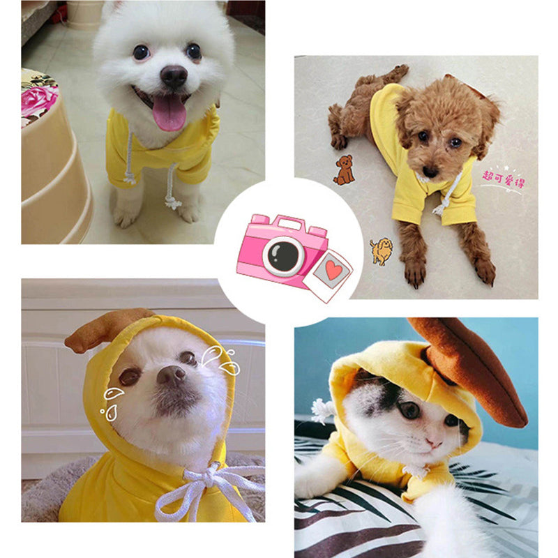 Fruit Print Dog Hoodie