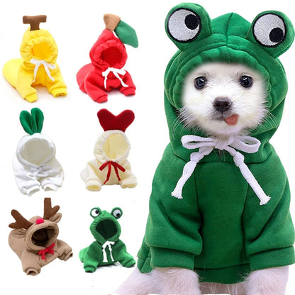 Fruit Print Dog Hoodie