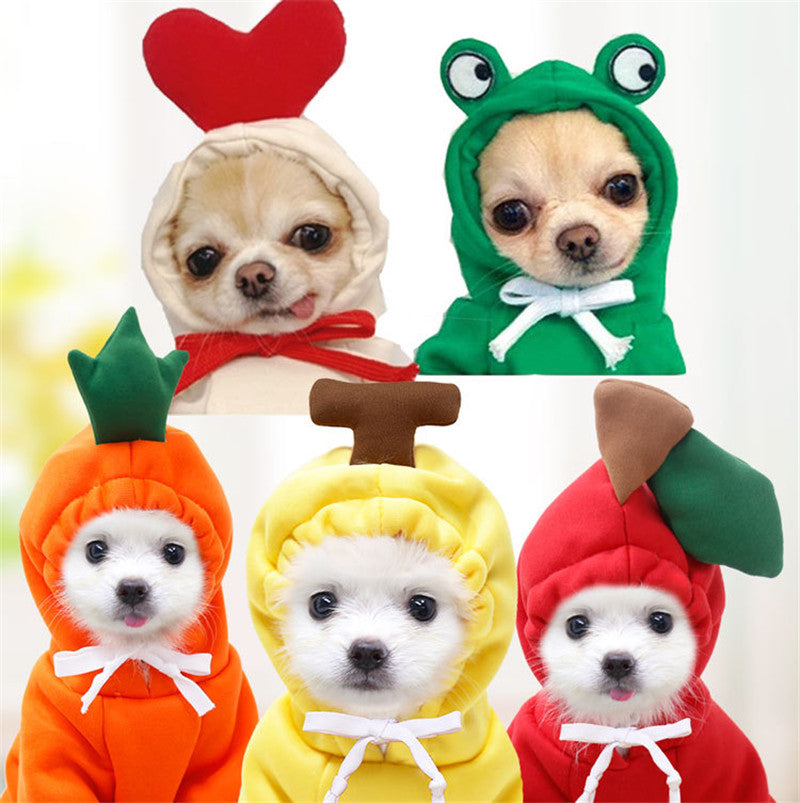Fruit Print Dog Hoodie