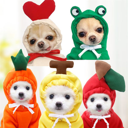 Fruit Print Dog Hoodie