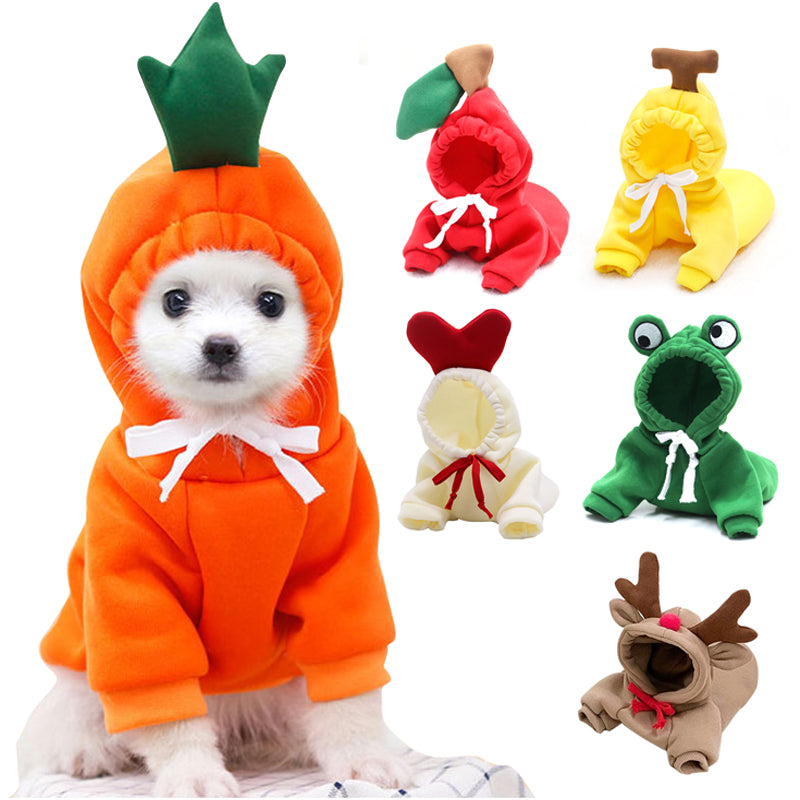 Fruit Print Dog Hoodie